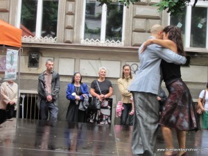 IMG_2811    