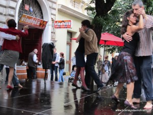 IMG_2836     